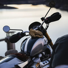 Rascal Handschuhe aus Hirschleder in Gelb