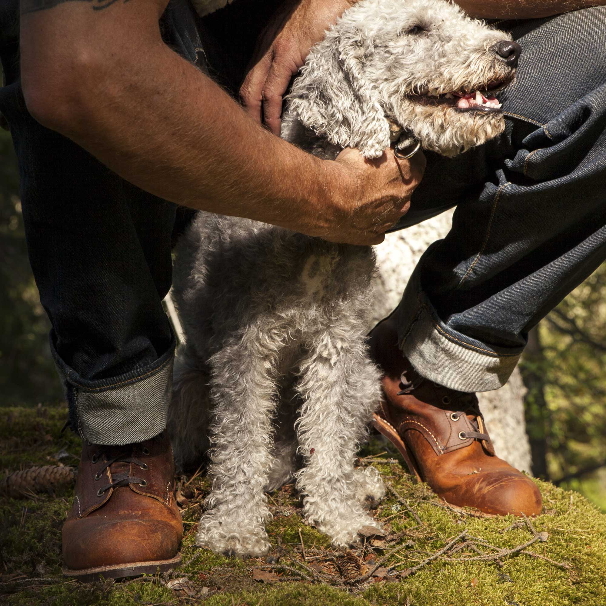 Red Wing ShoesBlacksmith 3343 Copper Rough & Tough Men's ShoesShoesBritish Parts Lucerne