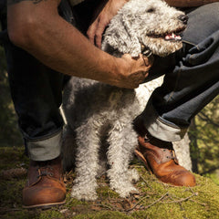 Red Wing ShoesBlacksmith 3343 Copper Rough & Tough Men's ShoesShoesBritish Parts Lucerne