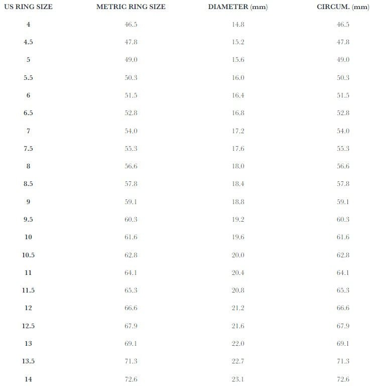Studebaker MetalsOtto Signet Ring - SilverRingBritish Parts Lucerne